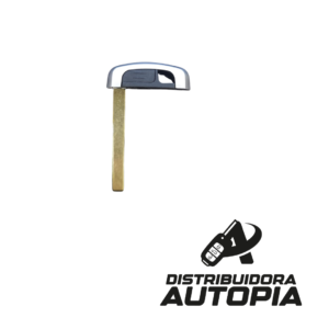 inserto telemando ford presencia